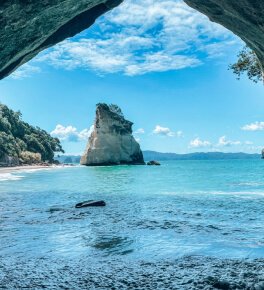 New Zealand visa