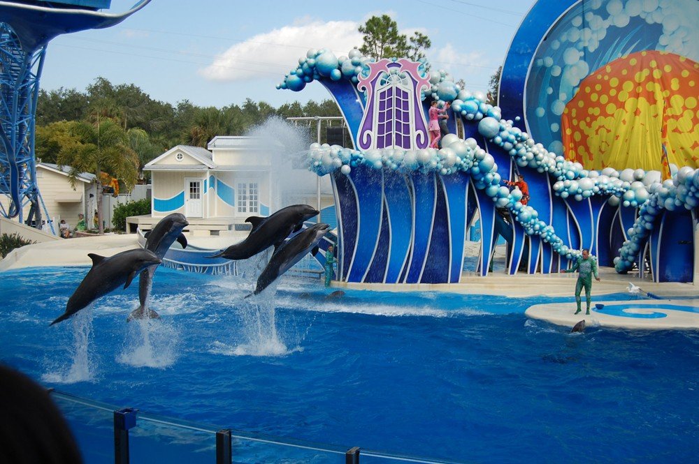 experience-fun-city-orlando-feature-image