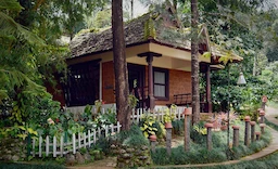 Misty Woods Resort