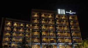 Golden Tulip Essential