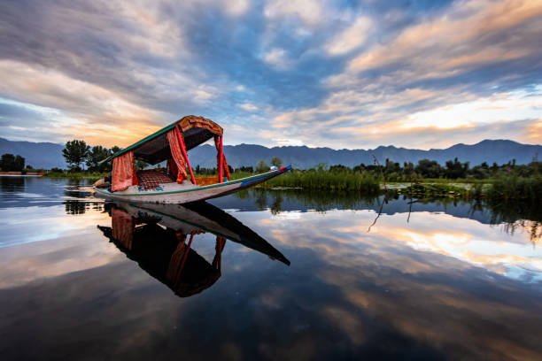 istockphoto-1044781780-612x612