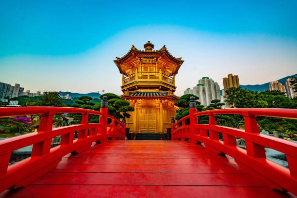 istockphoto-1294862665-612x612