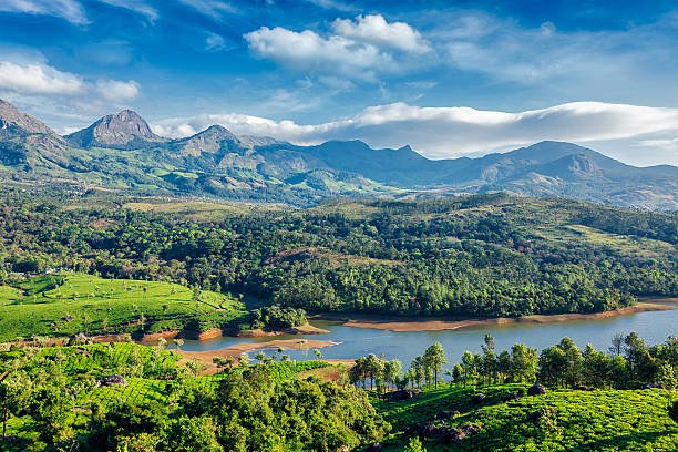 Tea plantations and Muthirappuzhayar River in hills near Munnar, Kerala, India