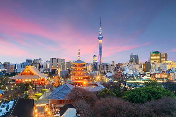 View of Tokyo skyline at sunset in Japan.