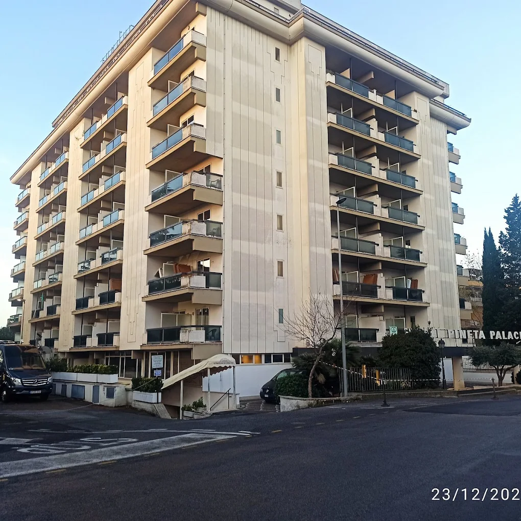 Pineta Palace 