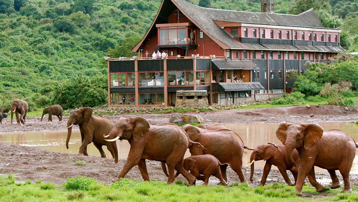 The Ark Hotel