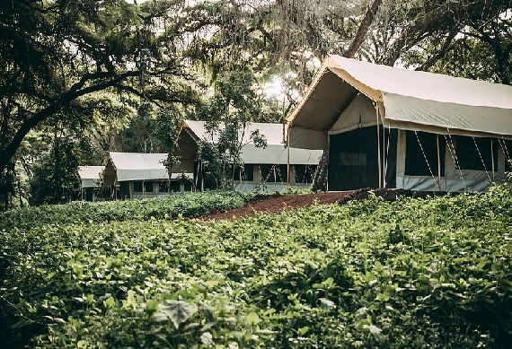 Ngorongoro Tortilis Camp