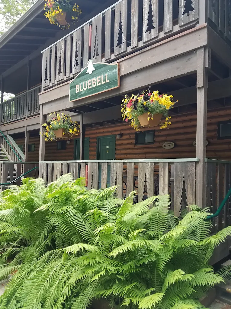 Seward Windsong Lodge